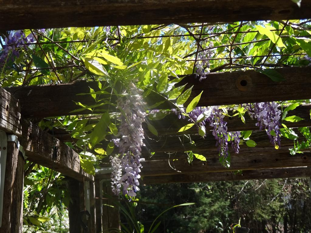 Pousada Canto Da Lua Sao Bento do Sapucai